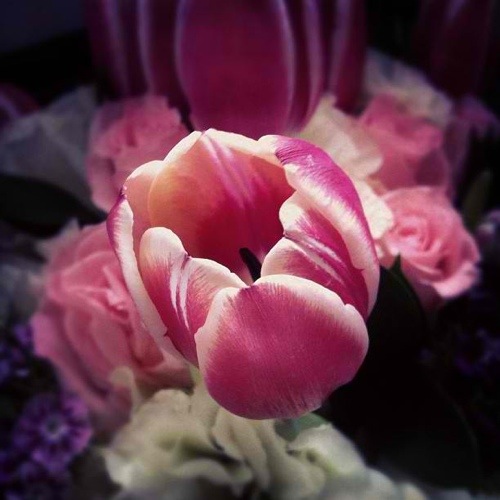 20111202-103216.jpg